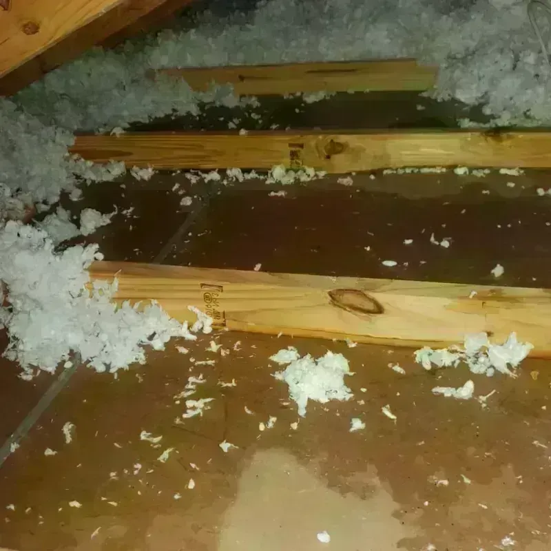 Attic Water Damage in Mount Penn, PA