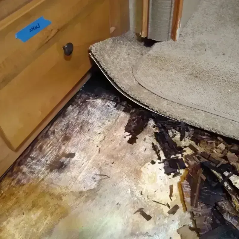 Wood Floor Water Damage in Mount Penn, PA